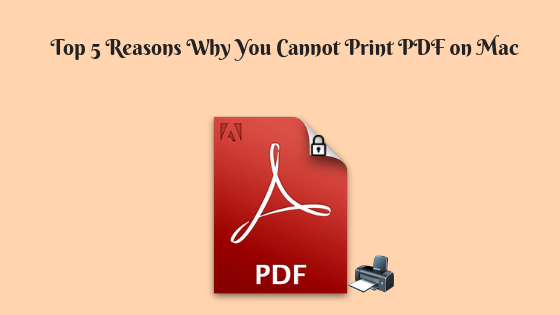 How to Print Protected PDF Document
